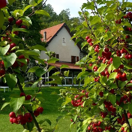 Le Radici Bed & Breakfast Sassello
