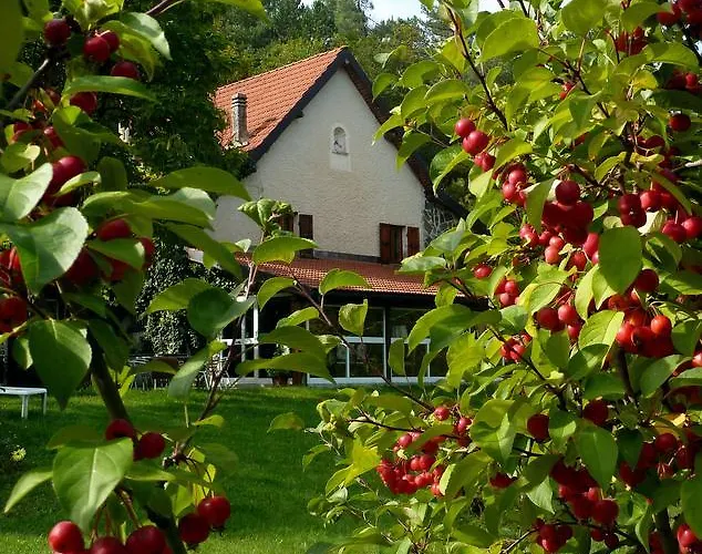 Le Radici B&B 사셀로