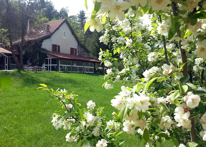 Le Radici B&B 3*